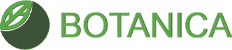 Botanica