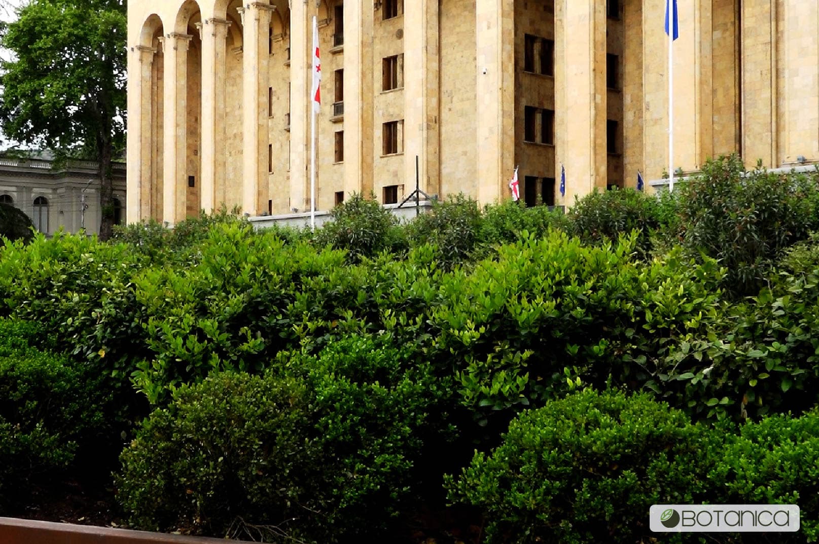 შოთა რუსთაველის გამზირი 3