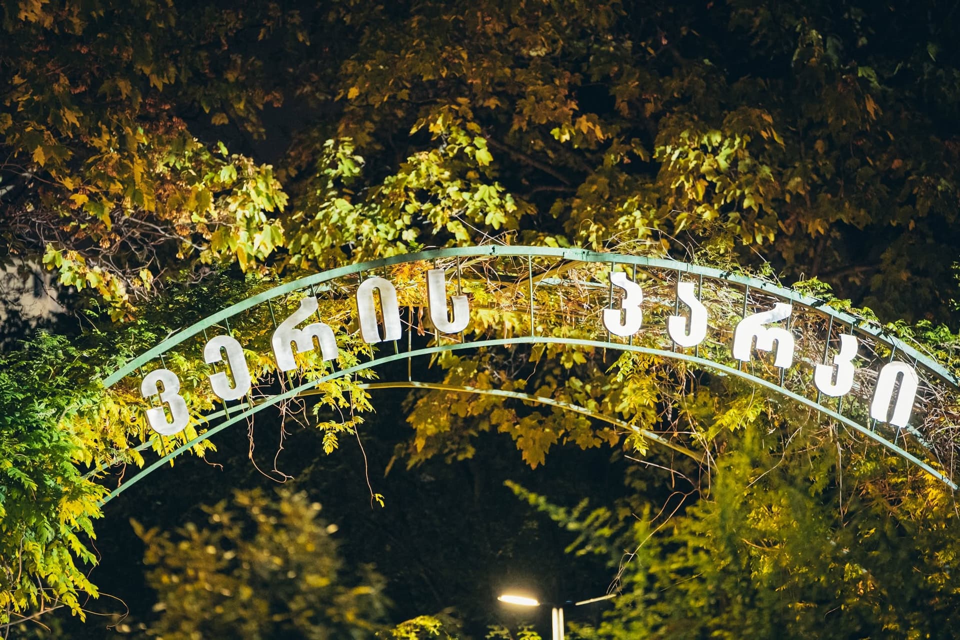 ვერის ბაღი