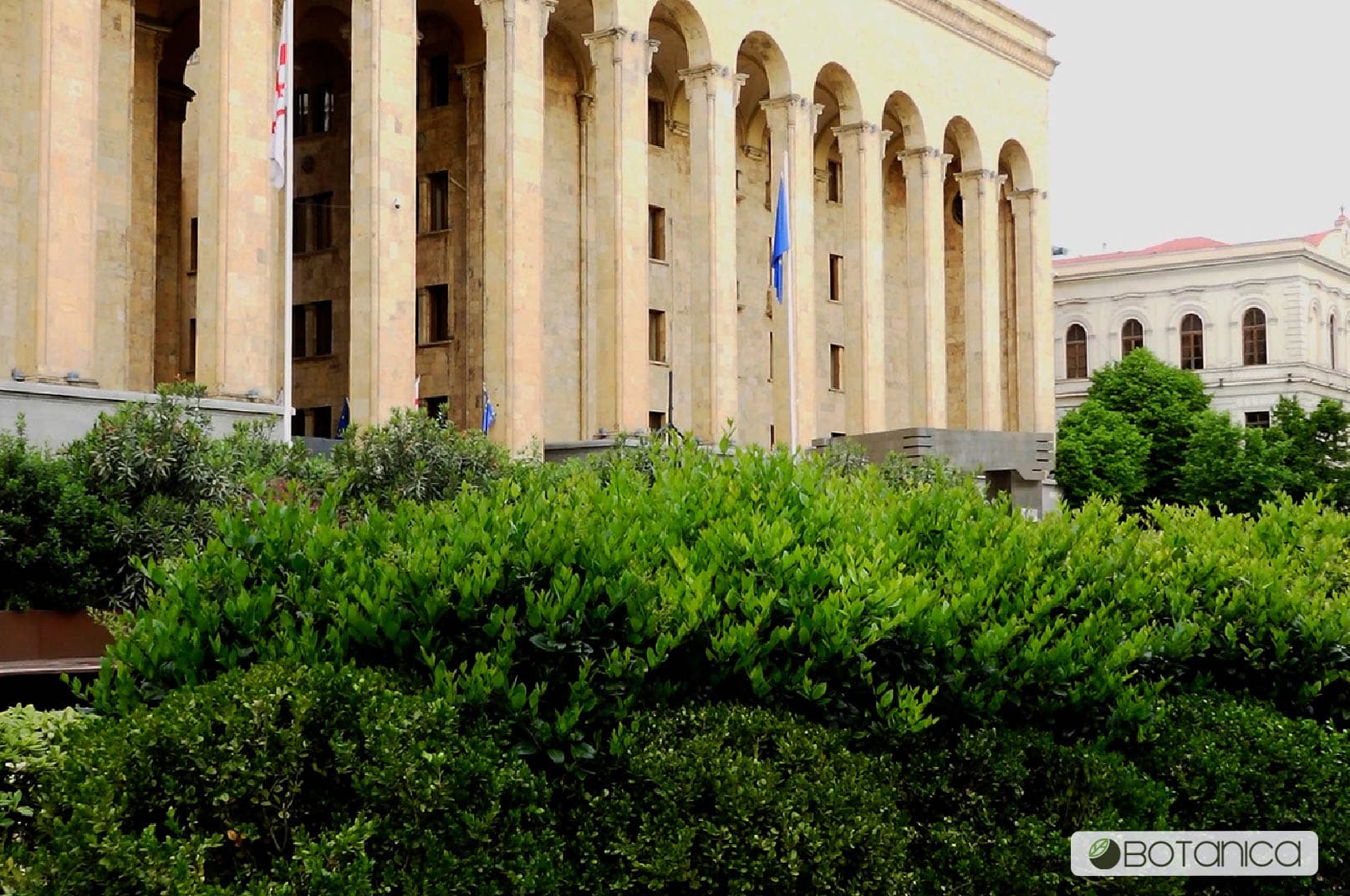 შოთა რუსთაველის გამზირი 2
