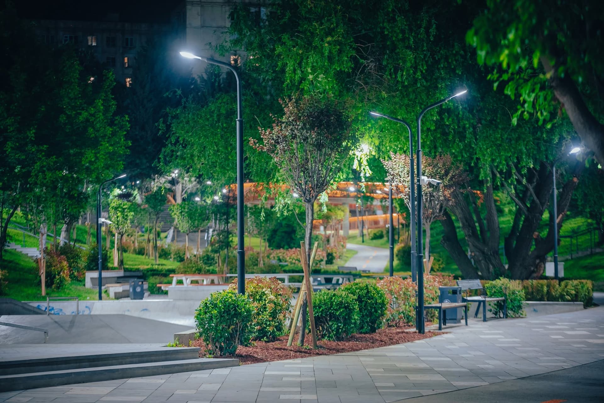 ვარკეთილის ხევის პროექტი  6